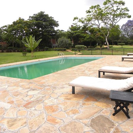 Olea Africana Lodge Karatu Extérieur photo