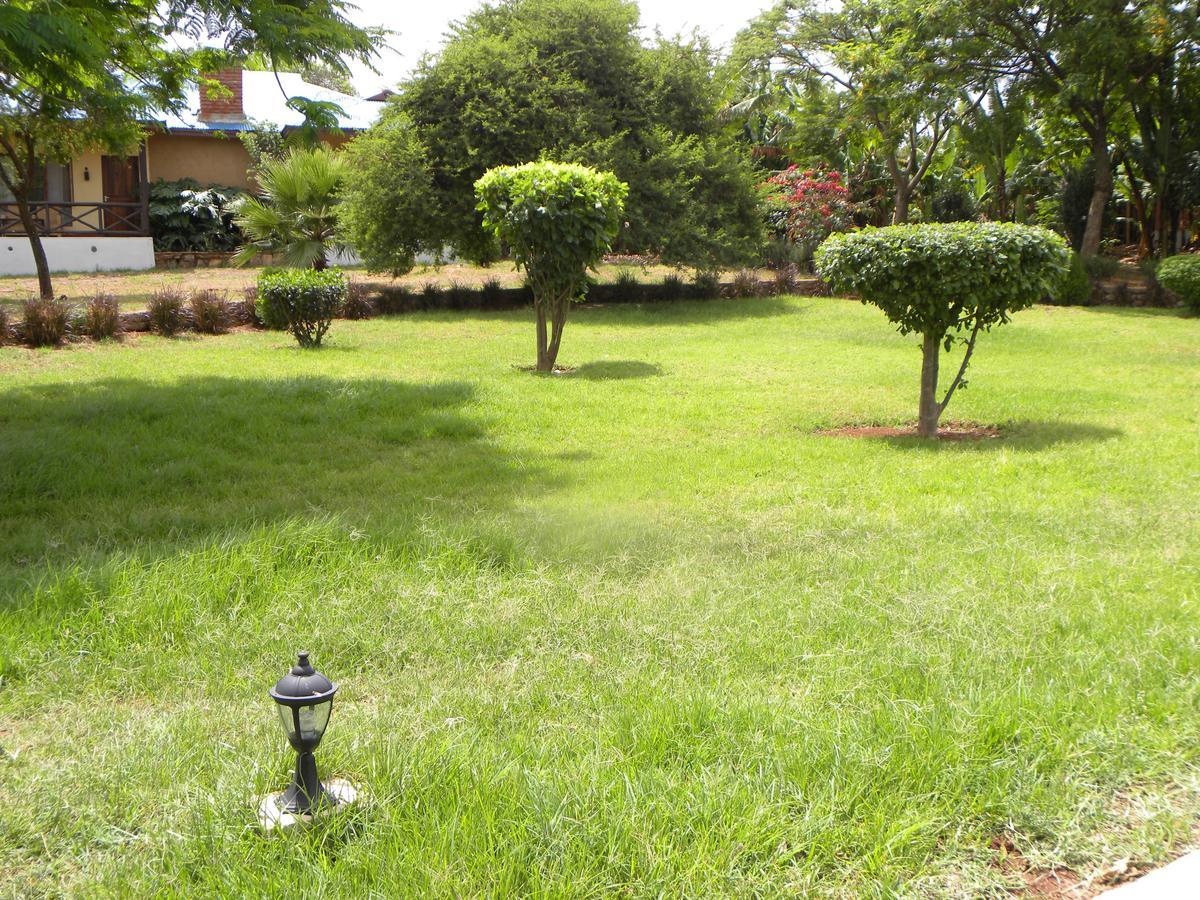 Olea Africana Lodge Karatu Extérieur photo
